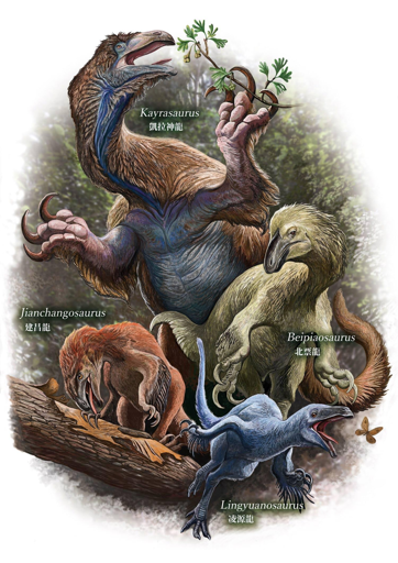 Ricostruzione di come sarebbero apparsi i terizinosauriani di Jehol, che illustra la variazione nelle dimensioni corporee, nelle proporzioni scheletriche e nelle strategie ecologiche dedotte tra le diverse specie (dal basso verso l’alto): Lingyuanosaurus sihedangensis è raffigurato in una postura che suggerisce una maggiore adattabilità alla locomozione cursoriale; Jianchangosaurus yixianensis è rappresentato mentre utilizza la lingua per facilitare l’alimentazione, in accordo con il suo robusto apparato ioideo; Beipiaosaurus inexpectus presenta un piano corporeo robusto e meno specializzato per la corsa; e Kayrasaurus changliensis è ricostruito mentre bruca vegetazione più alta, in accordo con le sue maggiori dimensioni corporee e con la strategia alimentare dedotta.
