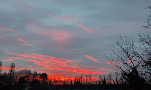 Foto dell'alba di oggi.
L'elemento dominante è il cielo diviso cromaticamente. La parte inferiore è un'esplosione di rosso acceso e arancione intenso, che si estende in strisce orizzontali. Queste strisce di colore ardente sono incastonate in nuvole di un grigio neutro e un azzurro tenue nella parte superiore dell'inquadratura.
Le nuvole che riflettono la luce sembrano allungate e sottili, quasi come pennellate vaporose spazzate dal vento, creando un forte senso di movimento e drammaticità visiva.
Il quadrante inferiore dell'immagine è definito da un netto contrasto di sagome nere. Una fitta linea di alberi e vegetazione forma un orizzonte frastagliato e completamente in ombra (una silhouette). A destra, rami spogli si protendono verso l'alto, aggiungendo texture e profondità al primo piano, incorniciando la vista spettacolare del cielo.