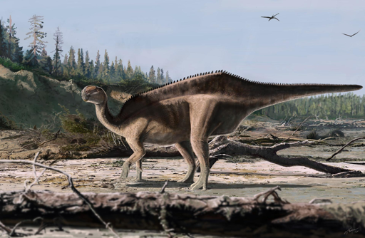 Scientificamente chiamata Istiorachis macarthurae, la nuova specie di dinosauro visse in quella che oggi è l’Inghilterra durante il Cretaceo inferiore, circa 125 milioni di anni fa.

L’antico animale apparteneva a un vasto e ampiamente diffuso gruppo biogeografico di dinosauri erbivori chiamato Iguanodontia.