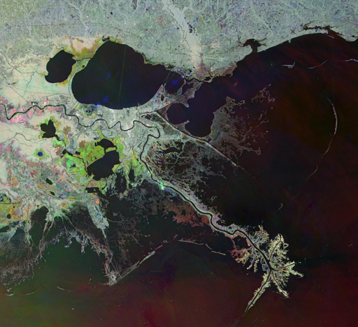 L'area qui raffigurata mostra l'ultimo tratto del suo percorso, lungo 3766 km, dove il Mississippi attraversa la città di New Orleans e sfocia nel Golfo del Messico formando un vasto delta, noto come delta "a zampa d'uccello" (bird-foot delta) per la forma creata dai canali che si diramano verso l'esterno.
