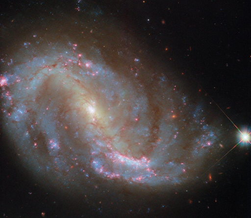 Gli astronomi hanno osservato NGC 7496 a lunghezze d'onda che vanno dalle onde radio agli ultravioletti per studiare il nucleo galattico attivo, le nubi di polvere e la formazione stellare della galassia. Hubble ha osservato per la prima volta questa galassia nell'ambito del programma PHANGS (Physics at High Angular resolution in Nearby GalaxieS). Questo programma ha sfruttato le capacità di diversi potenti osservatori astronomici, tra cui l'Atacama Large Millimetre/submillimetre Array (ALMA), il Very Large Telescope e il telescopio spaziale James Webb della NASA/ESA/CSA, oltre a Hubble. NGC 7496 è stata la prima galassia del campione PHANGS osservata dal Webb.