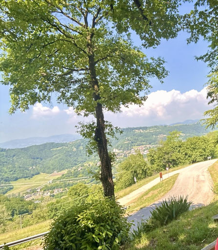 Vista da in cima alla collina, il punto più alto del mio giro in bici. Sullo sfondo la valle e le colline di fronte, in primo piano due strade che si incontrano e un grande albero.