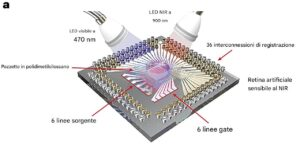 retina artificiale 