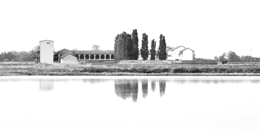 Una cascina, dei pioppi, una casa - probabilmente un'azienda agricola si riflette parzialmente sullo specchio d'acqua di una risaia.
Foto in bianco e nero.