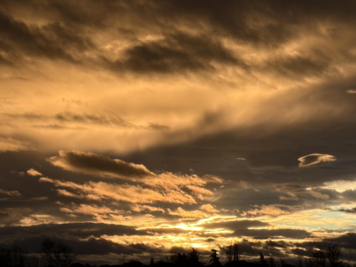 Questa foto cattura un momento molto suggestivo del cielo durante il tramonto.

Immagina un cielo vasto e aperto, coperto da nuvole dense e stratificate, che sembrano quasi un mare ondulato. Le nuvole sono illuminate da una luce dorata e calda, che proviene dal sole che sta tramontando all’orizzonte. I raggi del sole filtrano tra le nuvole, creando un effetto di chiaroscuro: alcune parti del cielo sono più scure, quasi grigie, mentre altre sono illuminate da sfumature che vanno dall’arancione al giallo intenso.

In basso, si intravedono le sagome scure degli alberi e della linea dell’orizzonte, che si staglia contro la luce del cielo, come una silhouette. L’atmosfera è tranquilla e un po’ malinconica, ma anche piena di calore e bellezza naturale. È uno di quei momenti in cui il cielo sembra quasi un dipinto, con i suoi colori e le sue forme in continuo movimento.