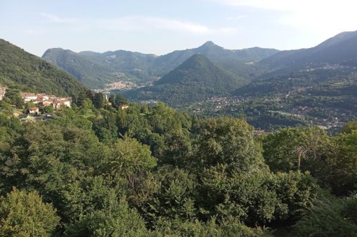 immagine di boschi (Lombardia)