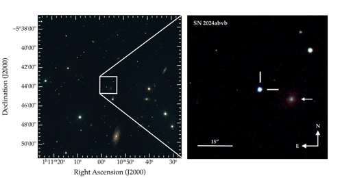 Il pannello di sinistra mostra un’immagine di 15′ × 15′ di SN 2024abvb costruita utilizzando immagini multibanda Bgr del telescopio Swope, mappate rispettivamente nei canali blu, verde e rosso dell’immagine. Il pannello di destra è un ritaglio di 2′ × 2′ in cui è indicata la posizione di SN 2024abvb. La freccia indica la galassia ospite PSO J011055.760-054416.73.