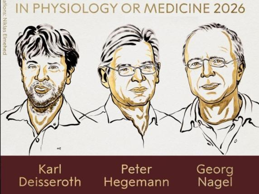 Nobel Medicina 2026 a Karl Deisseroth, Peter Hegemann e Georg Nagel «per le scoperte sui canali ionici attivati dalla luce e sull’optogenetica»