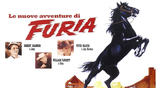 Le nuove avventure di Furia