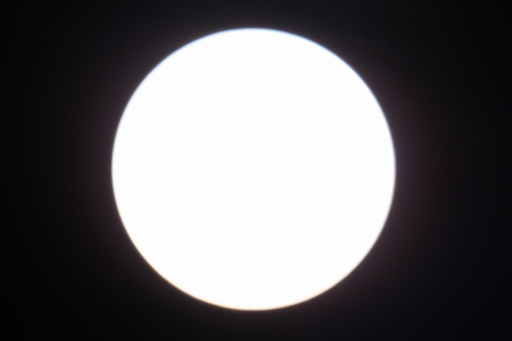 Sole