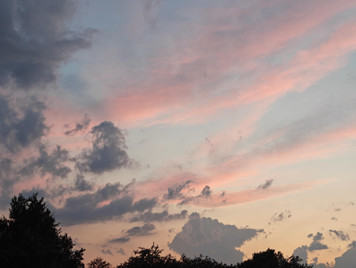Il cielo mostra sfumature pastello che vanno dal rosa intenso all'arancione chiaro, striato da nuvole sottili e allungate.Elementi Principali del CieloSfondo cromatico: tonalità calde di rosa, pesca e arancione sfumano verso un azzurro chiaro.Nuvole alte: filamenti leggeri e tesi catturano la luce solare, tingendosi di un rosa acceso.Nuvole basse: cumuli più scuri e grigiastri si stagliano in contrasto nella parte inferiore e sinistra.Profilo TerrestreSagome scure: la vegetazione in basso crea una silhouette nera e frastagliata contro la luce del crepuscolo.