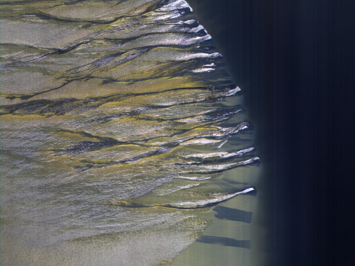 Chiazze luminose di brina (bianche nei colori potenziati) sono chiaramente visibili e sono composte da ghiaccio d’acqua e ghiaccio di anidride carbonica. Striature scure di sabbia sono scivolate lungo il pendio della duna, talvolta ricoprendo la brina. Questi flussi sono causati dalla rapida trasformazione del ghiaccio in gas quando il Sole riscalda la duna in primavera.

Possiamo anche osservare come questi flussi vengano deviati dalle increspature presenti sulla duna. (La larghezza dell’area ritagliata è di circa 520 metri.)
