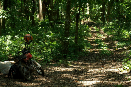 Sentiero nella Selva di Catemaco, Veracruz (Messico), fotografato nel 2016. In primo piano, una piccola motocicletta rossa con casco arancione appoggiato al manubrio è parcheggiata ai margini del sentiero. La pista sterrata, coperta di foglie, si inoltra nella fitta vegetazione tropicale, attraversata da raggi di sole filtrati dalla chioma degli alberi.