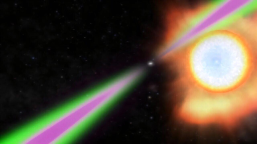 La pulsar ragno, relativamente minuscola, colpisce la stella vicina, molto più grande di lei, con una tale quantità di energia che il lato rivolto verso di essa diventa due volte più caldo della superficie del Sole, bruciando lentamente la stella.