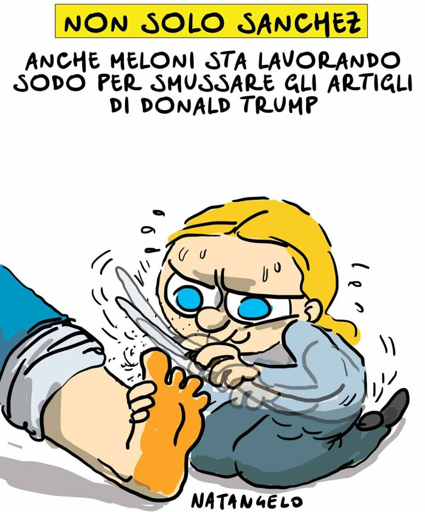 Nel disegno, Giorgia Meloni che lima le unghie dei piedi di Trump.