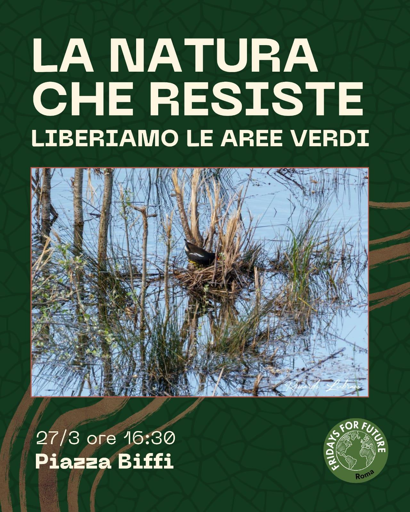 La natura che resiste
Liberiamo le aree verdi
27/3 ore 16:30 Piazza Biffi
Sulla foto una gallinella d'acqua fotografata pochi giorni fa con i suoi piccoli nello specchio d'acqua dei mercati generali