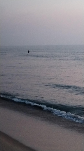 Il pescatore di telline