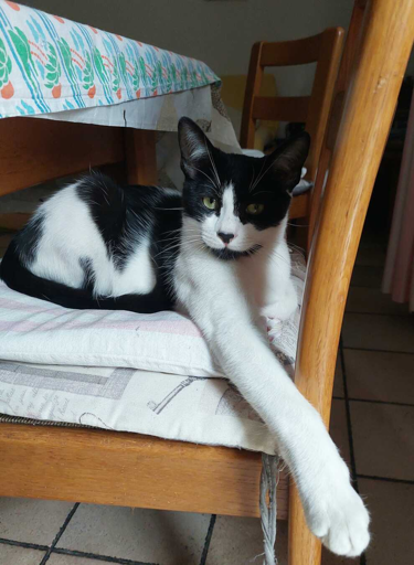 Alex longa manus ❤️