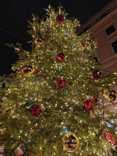 What we can choose to do, is to be kinder to ourselves and to others.

Ciò che possiamo scegliere di fare, è essere più gentili con noi stessi e con gli altri.