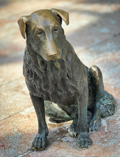 A bronze sculpture of a sitting dog with a realistic facial expression, placed on a tiled floor.