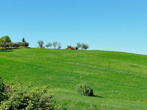 La casa nel verde