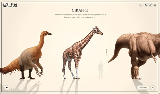 Screenshot di Size of Life