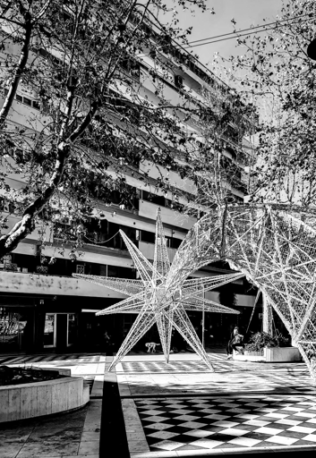 Foto verticale in bianco e nero di una piazza urbana a Pescara. In primo piano il pavimento ha una grande zona a scacchi bianchi e neri. Al centro c’è una grande struttura luminosa a forma di stella di Natale, collegata a un arco di luci. Intorno si vedono vasche circolari con piante e alcuni alberi quasi spogli. Sullo sfondo un alto palazzo con lunghi balconi orizzontali occupa gran parte dell’inquadratura, sotto un cielo chiaro.