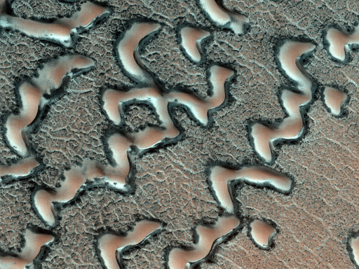 Questa immagine è stata acquisita per raggiungere diversi obiettivi scientifici relativi a questo campo di dune all’interno di un cratere da impatto:

monitorare la deposizione di brina, l’evoluzione del paesaggio e la sublimazione del ghiaccio sotterraneo. La sublimazione è ciò che crea il materiale più scuro esposto sulle dune e attorno ad esse. Questa immagine sarà inoltre utilizzata per misurazioni dettagliate della superficie.
