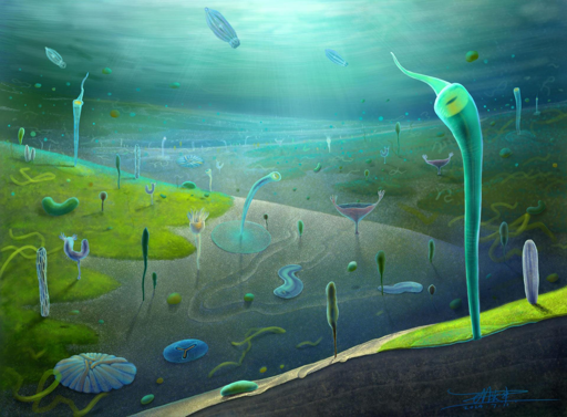 Ricostruzione della Jiangchuan Biota.