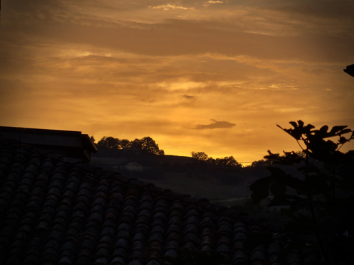 Tramonto dorato con nuvole sul cielo, silhouette di tetti e alberi in primo piano.