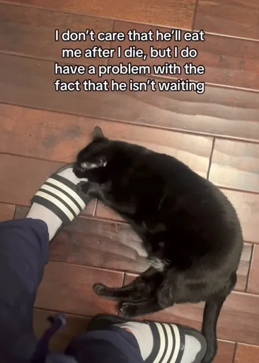 Picture of a cat biting someone in the foot: "I don't care that he'll eat me after I die, but I have a problem with the fact that he isn't waiting" —_ 2