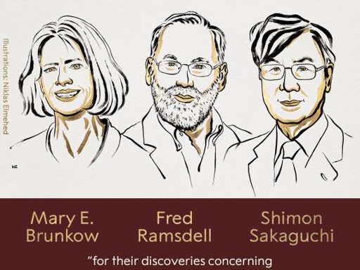 È stato assegnato a Mary E.Brunkow, Fred Ramsdell e Shimon Sakaguchi il Premio Nobel per la Medicina 2025.
