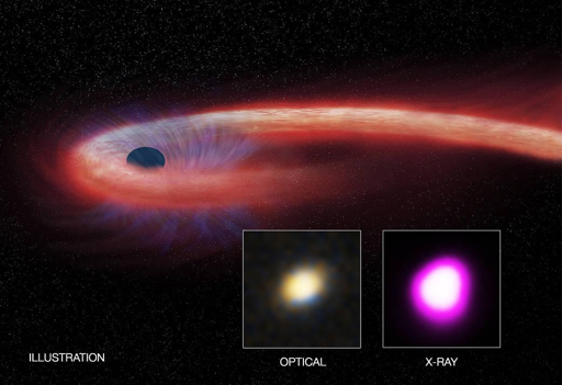 L’illustrazione raffigura quello che gli astronomi definiscono un «evento di distruzione mareale» (tidal disruption event, o TDE).