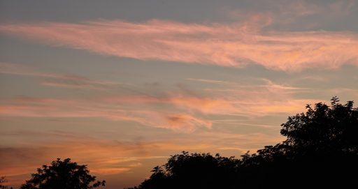 L'immagine mostra un tramonto suggestivo caratterizzato da calde sfumature di colore che dipingono il cielo sopra la silhouette scura della vegetazione.Caratteristiche del cielo e delle nuvoleI colori principali: Il cielo sfuma da tonalità di arancione intenso vicino all'orizzonte fino a un rosa pastello e salmone più tenue e delicato nella parte superiore.Le nuvole: Sono presenti nuvole stratificate e leggere, simili a cirri, che si estendono orizzontalmente. I raggi del sole, ormai basso o appena tramontato, le illuminano dal basso creando un effetto luminoso e soffice.Elementi in primo pianoLa vegetazione: Nella parte inferiore dell'inquadratura si stagliano i profili scuri di alberi e cespugli. Essendo in totale controluce, appaiono come silhouette nere che creano un forte contrasto visivo con la luminosità e i colori accesi del cielo sovrastante.