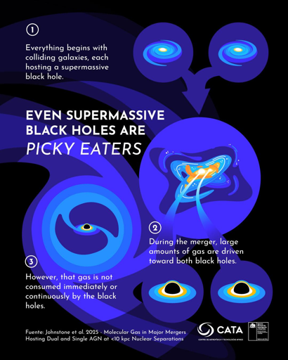 Rappresentazione schematica della quantità di gas disponibile per alimentare i buchi neri supermassicci durante una grande fusione galattica.
