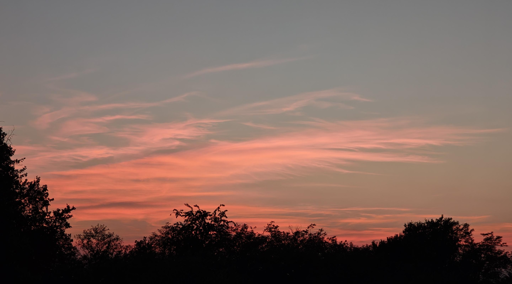 Il tramonto mostra un cielo sfumato con tonalità che vanno dal grigio-azzurro all'arancione vivo.
Velature leggere attraversano il cielo in senso orizzontale.
Le nuvole al centro riflettono un colore rosa intenso e arancione.
La parte superiore del cielo sfuma verso un grigio chiaro e freddo.
La linea dell'orizzonte è delineata dalle sagome nere di alberi e cespugli.