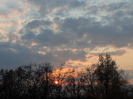 Questa immagine cattura un momento di quiete al calar del sole, dove la luce calda cerca di farsi strada tra elementi naturali e atmosferici più scuri.
Il sole è posizionato in basso, quasi nascosto dietro la linea degli alberi. Appare come un piccolo disco di un arancione vivido, che emana un bagliore caldo che tinge le nuvole circostanti di sfumature pesca e oro.
La parte superiore dell'immagine è dominata da una fitta coltre di nuvole stratificate. I colori variano dal grigio bluastro freddo delle zone in ombra alle pennellate rosate e ambrate dove la luce del tramonto riesce a filtrare. L'effetto complessivo è quello di un cielo dinamico e quasi "pastello".
In primo piano, una fila di alberi spogli o con poche foglie crea un forte contrasto. Le loro sagome scure e i rami intricati agiscono come un filtro naturale, attraverso il quale si scorge la luce solare