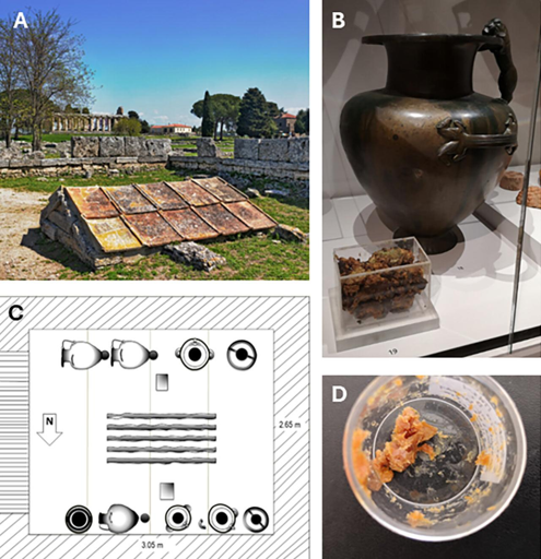 Miele di Paestum: (A) santuario sotterraneo a Paestum, Italia; (B) una delle idrie esposte accanto a una teca in perspex contenente i residui presso l'Ashmolean Museum nel 2019; (C) rappresentazione grafica della disposizione dei vasi di bronzo all'interno del santuario; (D) campione prelevato dal nucleo dei residui.