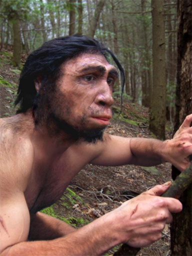 Questa è una ricostruzione artistica di Homo erectus.