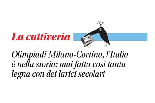 Olimpiadi Milano-Cortina, l'Italia è nella storia: mai fatta così tanta legna con dei larici secolari.