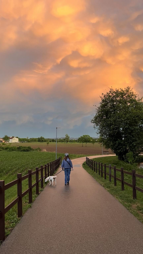 Io che cammino con il mio cane Joe su una strada ciclopedonale in mezzo alla campagna, il cielo grigio-blu è pieno di nuvole luminose colorate di giallo e arancio 