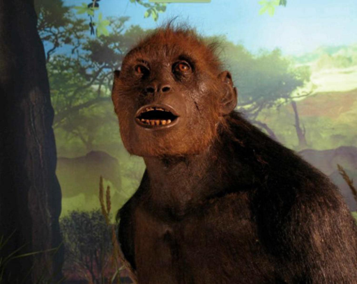 Ricostruzione di Sahelanthropus tchadensis.