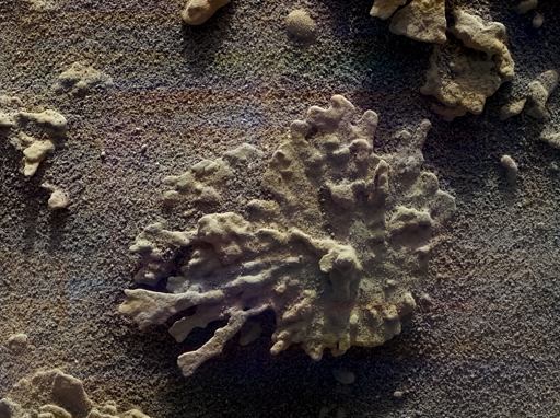 Soprannominata “Paposo” dal team scientifico del rover, la roccia si trovava a circa 5 centimetri dalla fotocamera MAHLI quando è stata scattata questa foto.

Curiosity ha trovato molte piccole formazioni come questa, che si sono formate miliardi di anni fa quando su Marte esisteva ancora l'acqua liquida. L'acqua ha trasportato i minerali disciolti nelle fessure delle rocce e successivamente si è asciugata, lasciando i minerali induriti. Eoni di sabbiatura da parte del vento hanno eroso la roccia circostante, producendo forme uniche.