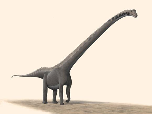 Mamenchisaurus youngi, una specie sorella di Huashanosaurus qini.