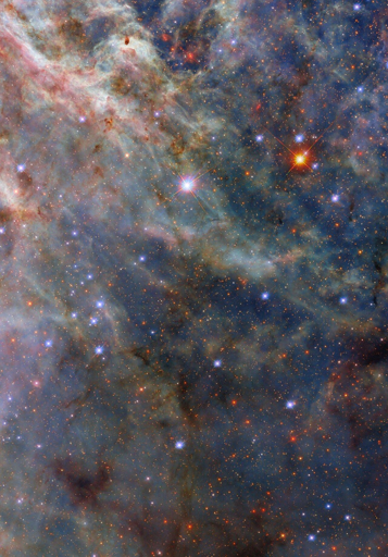 La Nebulosa Tarantola ospita le stelle più massicce conosciute, alcune delle quali hanno una massa circa 200 volte superiore a quella del nostro Sole. La scena raffigurata qui si trova lontano dal centro della nebulosa, dove si trova un superammasso stellare chiamato R136, ma molto vicina a un raro tipo di stella noto come stella di Wolf–Rayet. 
Le stelle di Wolf–Rayet sono stelle massicce che hanno perso il loro involucro esterno di idrogeno e sono estremamente calde e luminose, generando venti stellari densi e furiosi.

Questa nebulosa è un obiettivo frequente per Hubble, le cui capacità di osservazione in più lunghezze d’onda sono fondamentali per catturare i dettagli scultorei delle nuvole di polvere della nebulosa. I dati utilizzati per creare questa immagine provengono da un programma di osservazione chiamato Scilla, dal nome del mostro marino a più teste del mito greco di Ulisse. Il programma Scilla è stato ideato per completare un altro programma di osservazione di Hubble chiamato ULYSSES (Ultraviolet Legacy Library of Young Stars as Essential Standards). ULYSSES studia giovani stelle massicce nelle Piccola e Grande Nube di Magellano, mentre Scilla indaga le strutture di gas e polvere che le circondano.
