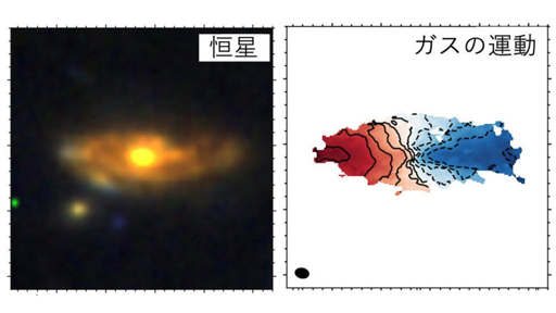 Distribuzione delle stelle e della polvere nella galassia mostruosa ADF22.A1. (A sinistra) Un'immagine all'infrarosso catturata dal JWST mostra la distribuzione delle stelle immerse nella polvere. (A destra) Distribuzione della polvere rivelata dalle osservazioni dell'ALMA. La struttura nascosta di una grande galassia a spirale emerge dalla massiccia polvere.