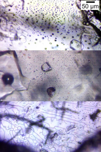 Esempi di fotografie di assemblaggi di inclusioni in halite primarie, miste e secondarie.