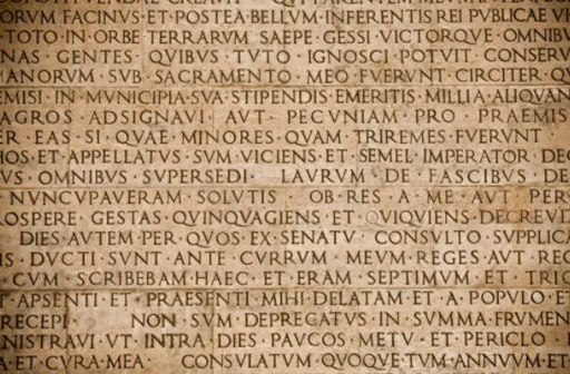 Immagine piena di parole scritte in latino. Rappresenta una parete incisa in marmo. 