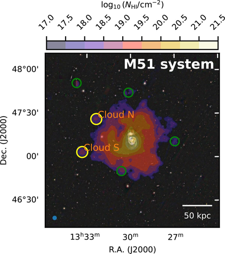 Distribuzione dell’idrogeno neutro (H I) nelle vicinanze di M51, sovrapposta a un’immagine ottica della survey Pan-STARRS1 DR1. I cerchi gialli indicano la posizione delle due candidate RELHIC: Cloud N e Cloud S. I colori rappresentano la mappa della densità di colonna dell’H I (momento 0). I cerchi verdi indicano altre componenti di H I identificate da SoFiA. Il punto blu nell’angolo in basso a sinistra rappresenta il fascio del radiotelescopio FAST a 1,42 GHz, con una larghezza a metà altezza (FWHM) di 3,24′. Nell’angolo in basso a destra è riportata una barra di scala fisica di 50 kpc, assumendo una distanza di 8 Mpc.