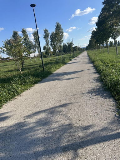 A sunlit pathway stretches straight ahead, flanked by green grass and rows of trees. The sky is blue with scattered clouds, and there are light posts along the path.